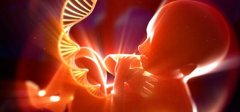 喜訊?。。?安琪兒出生的新生兒可免費篩查耳聾基因、終身保存基因