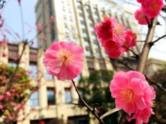 這個春天，帶上陽光，與安琪兒同行