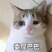 偶買噶！孕媽五一怎么玩？你要先戳進來看噻！
