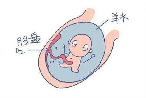 孕媽胎寶是否安好，羊水指標(biāo)你要知曉