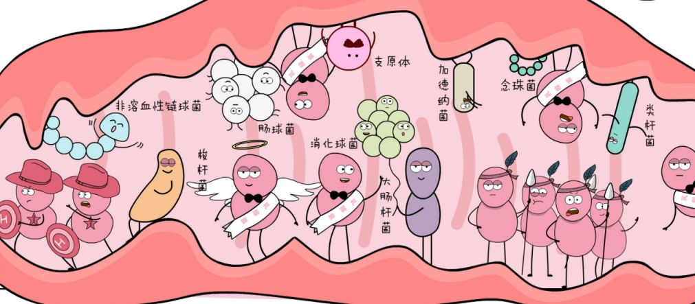 女性須知丨3道天然屏障守護(hù)私處健康，其中1道易被“誤傷”！